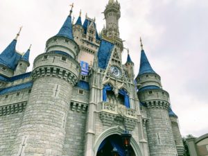 Cinderella Castle Front View Magic Kingdom