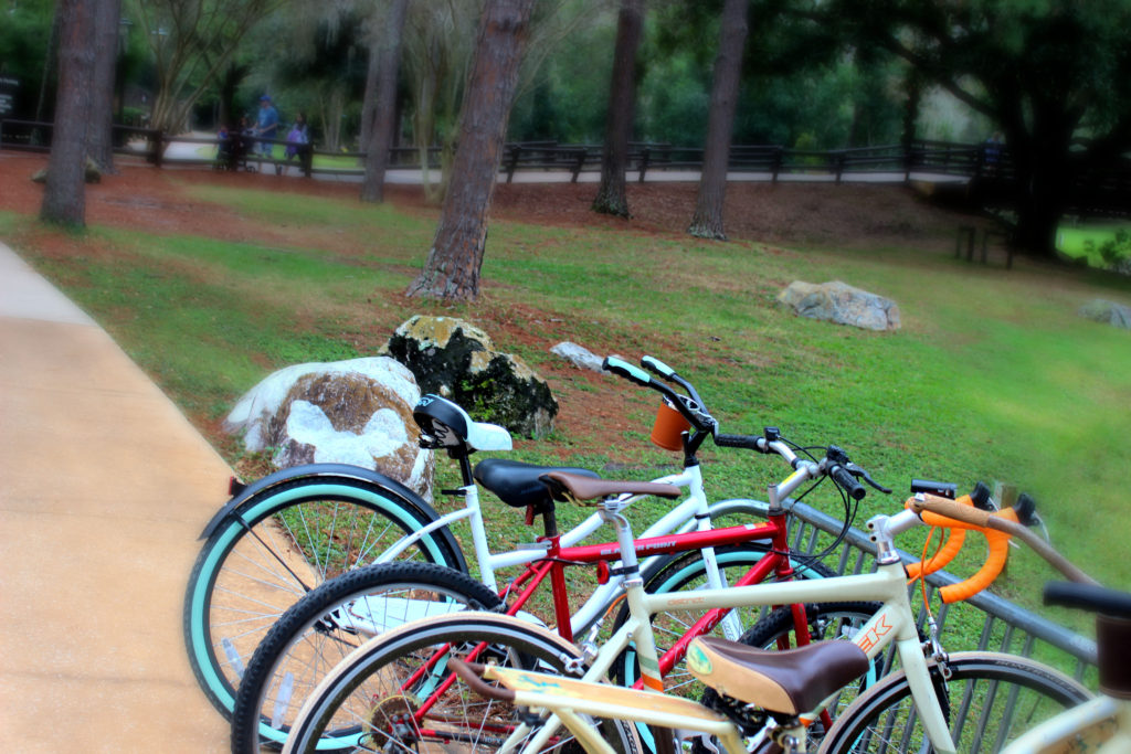 bikes Ft Wilderness