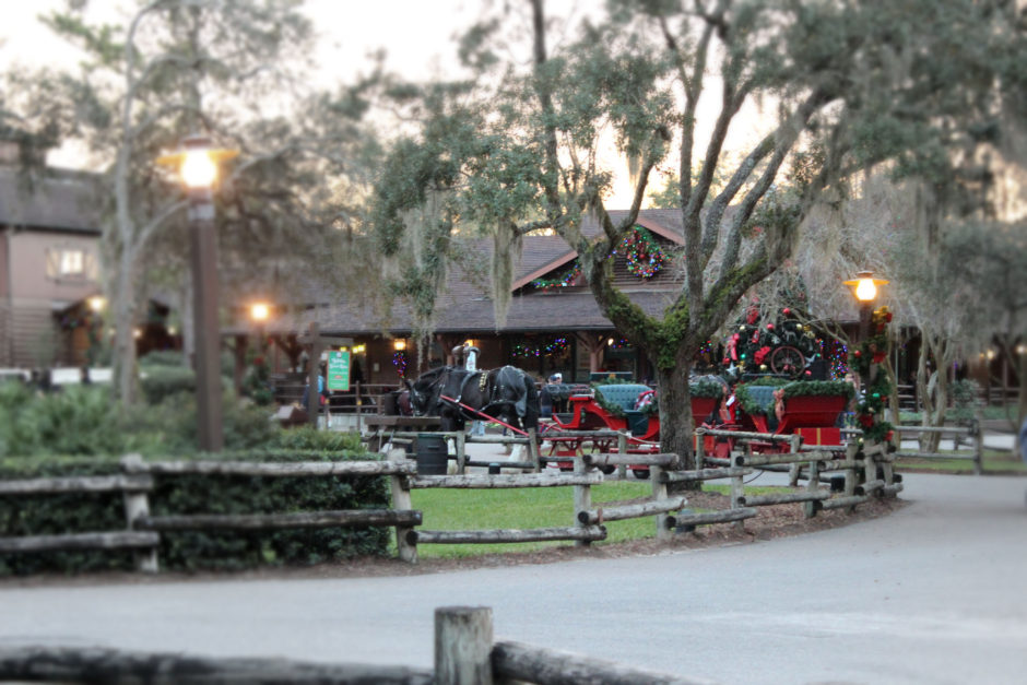 Fort Wilderness Horse and Sleigh