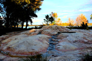 Geyser at Wilderness Lodge