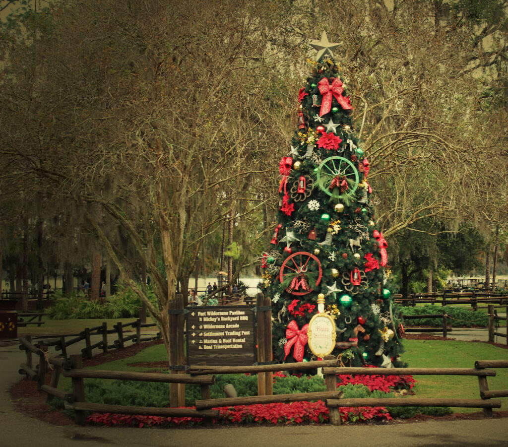 Fort Wilderness Christmas Tree