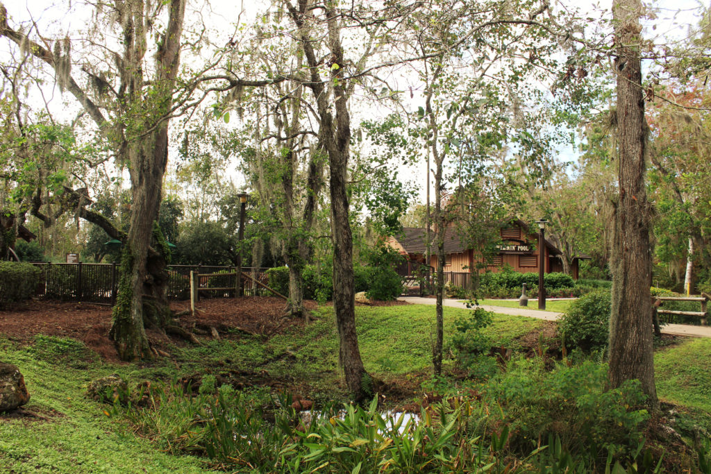 Disney's Fort Wilderness Wilderness Pool