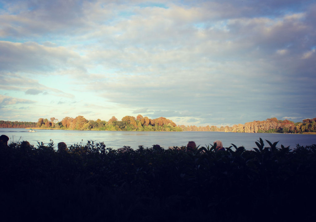 Geyser Point View