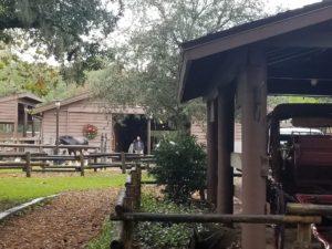 fort wilderness barn