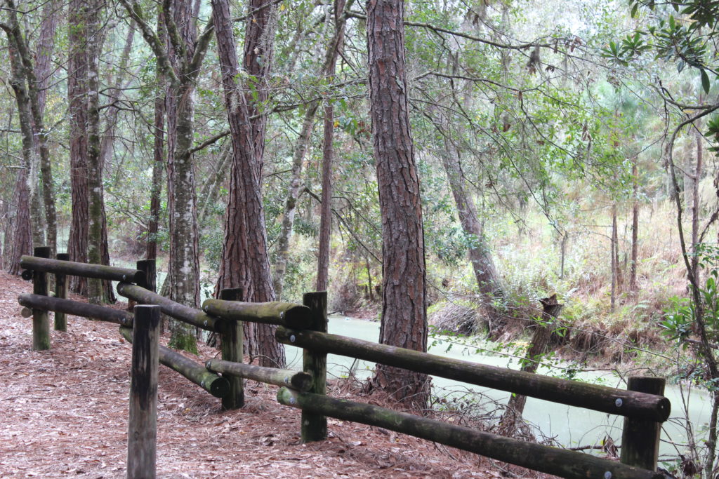 canal behind loop 700