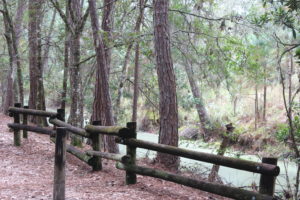 canal on 800 fort wilderness