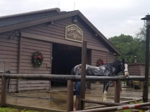 Fort Wilderness Barn