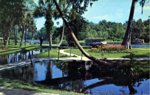 silver springs