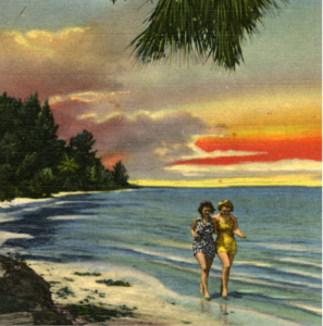 florida postcard