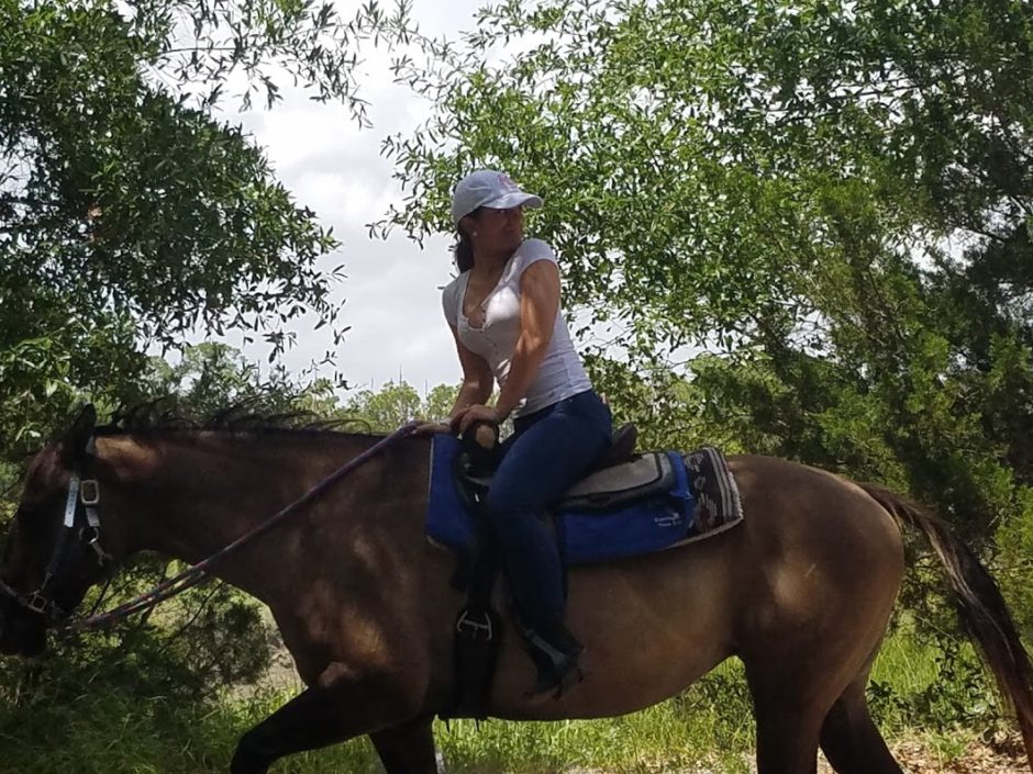 horse fort wilderness