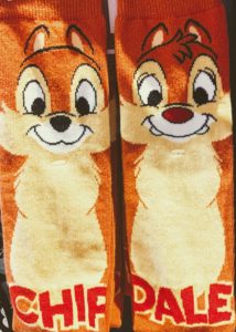 fort wilderness savings socks