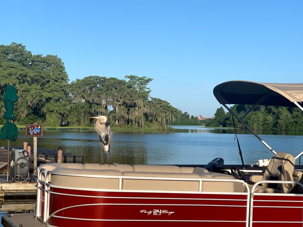 pontoon bay lake