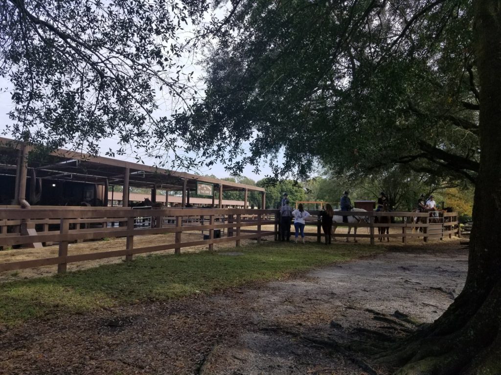 fort wilderness horseback