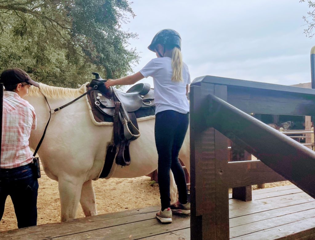 Fort Horseback