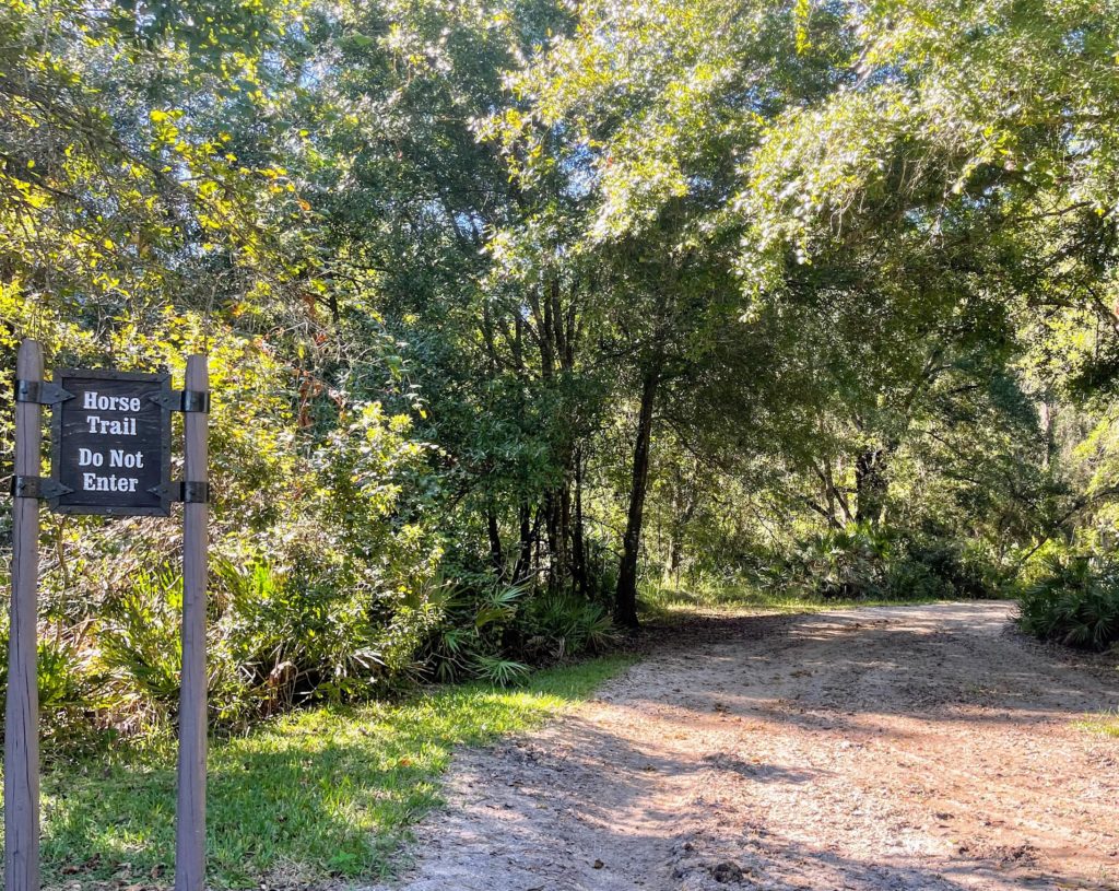 fort wilderness horseback riding