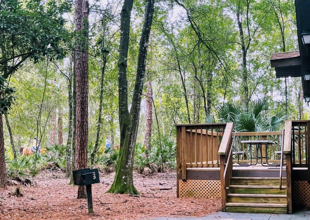 Fort Wilderness horse rides