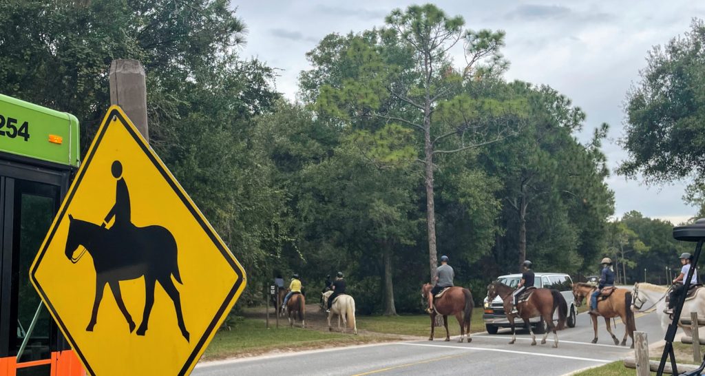 Fort Wilderness horseback riding