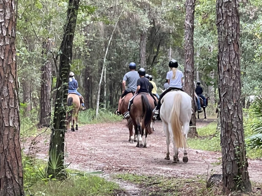 fort wilderness horseback excrusion