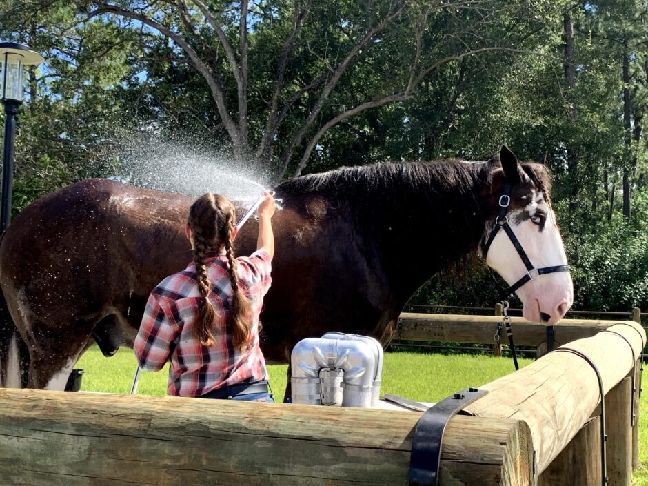 Things to Do at Fort Wilderness