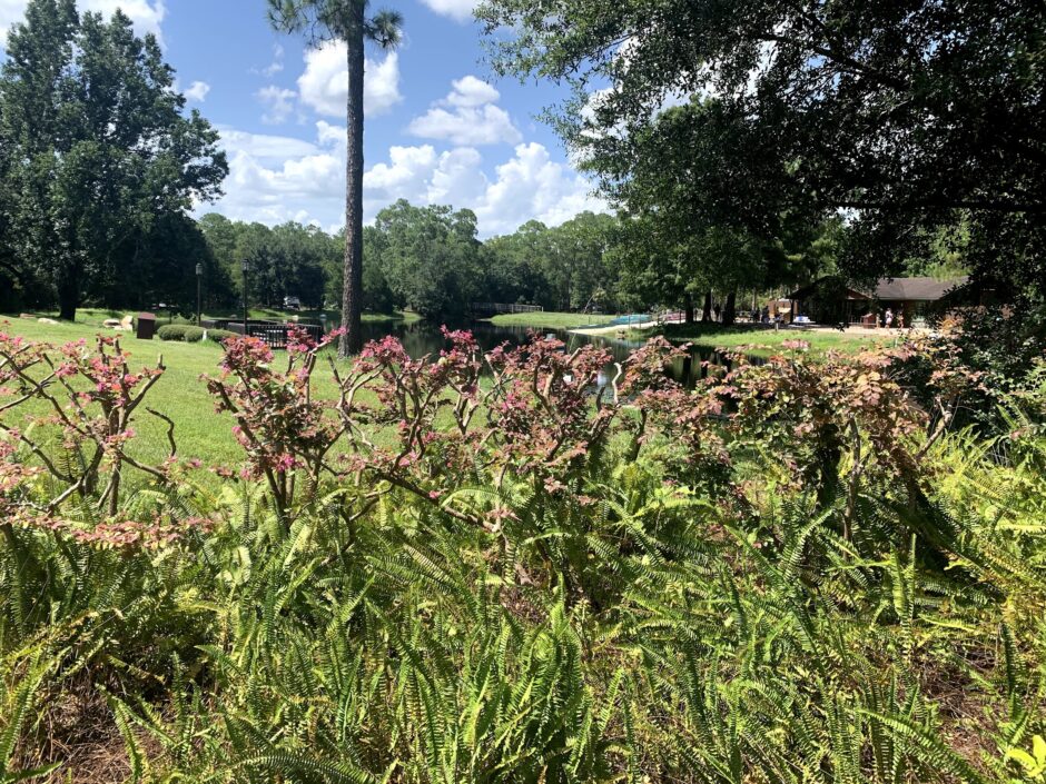 Fort Wilderness summer