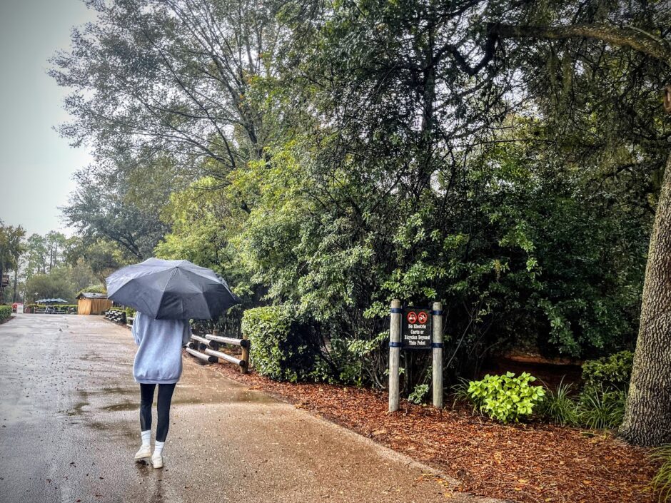 fort wilderness hurricane