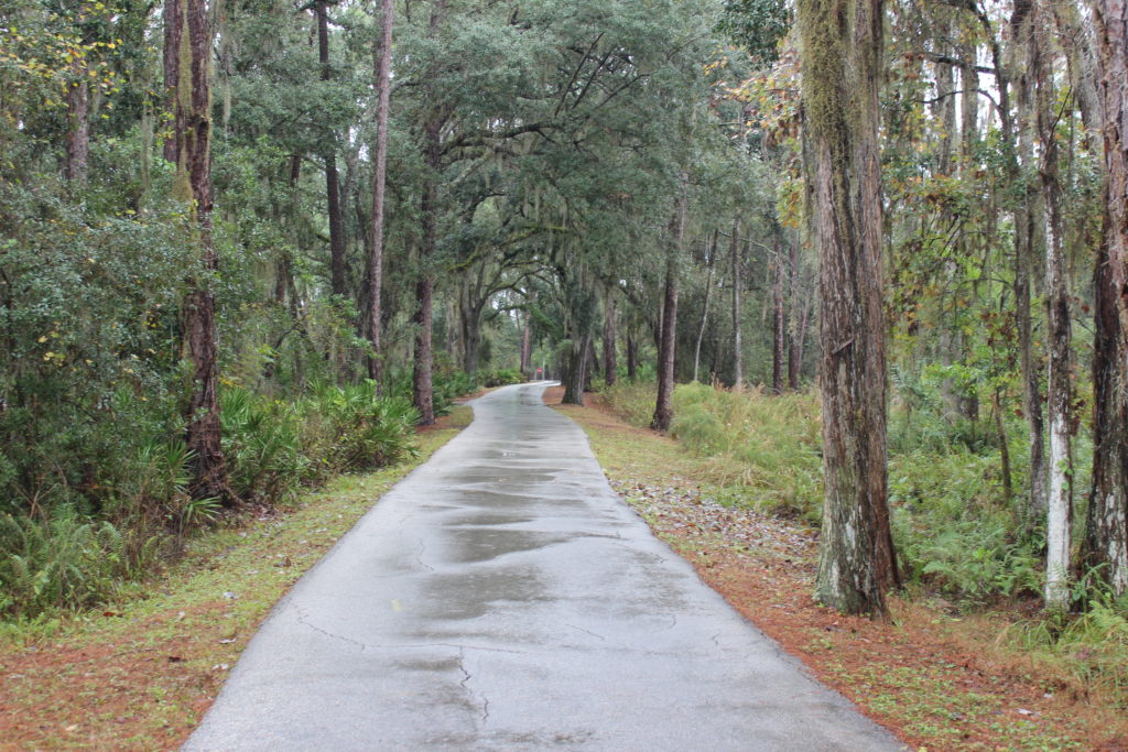 Trail to Wilderness Lodge